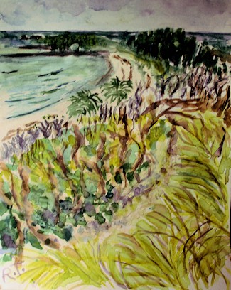 Abaco Sea And Landscape